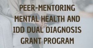 Image of people talking in seats with text that says "Peer-Mentoring Mental Health and IDD Dual Diagnosis"